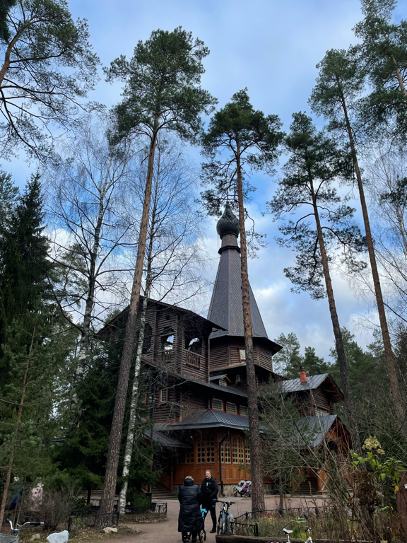 Фото Вырицкий мамонт