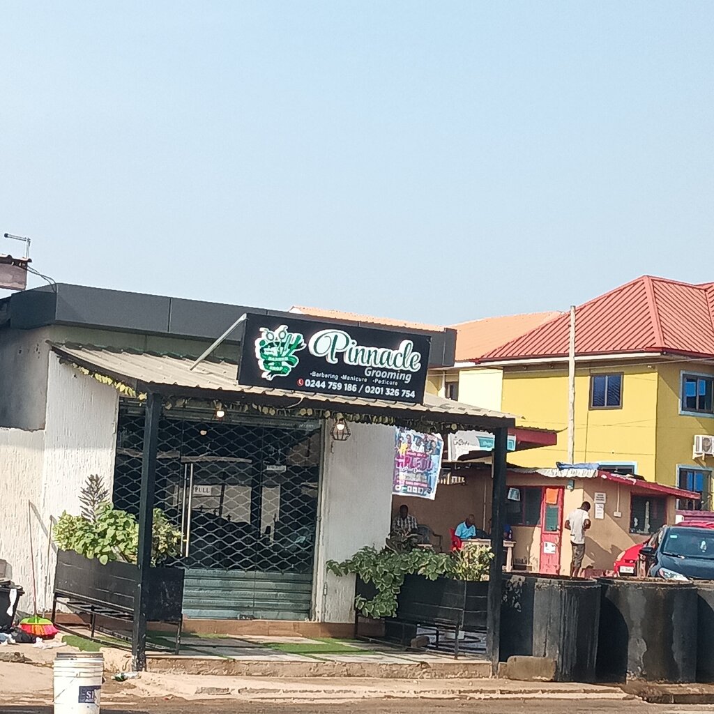 Pet salon Pinnacle Grooming, Earth, photo