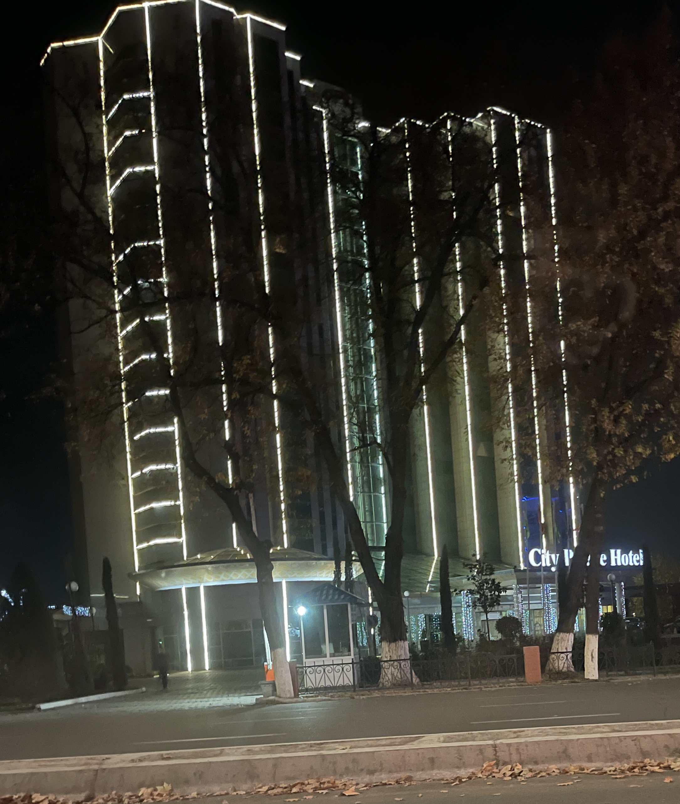 Фото City Palace Hotel