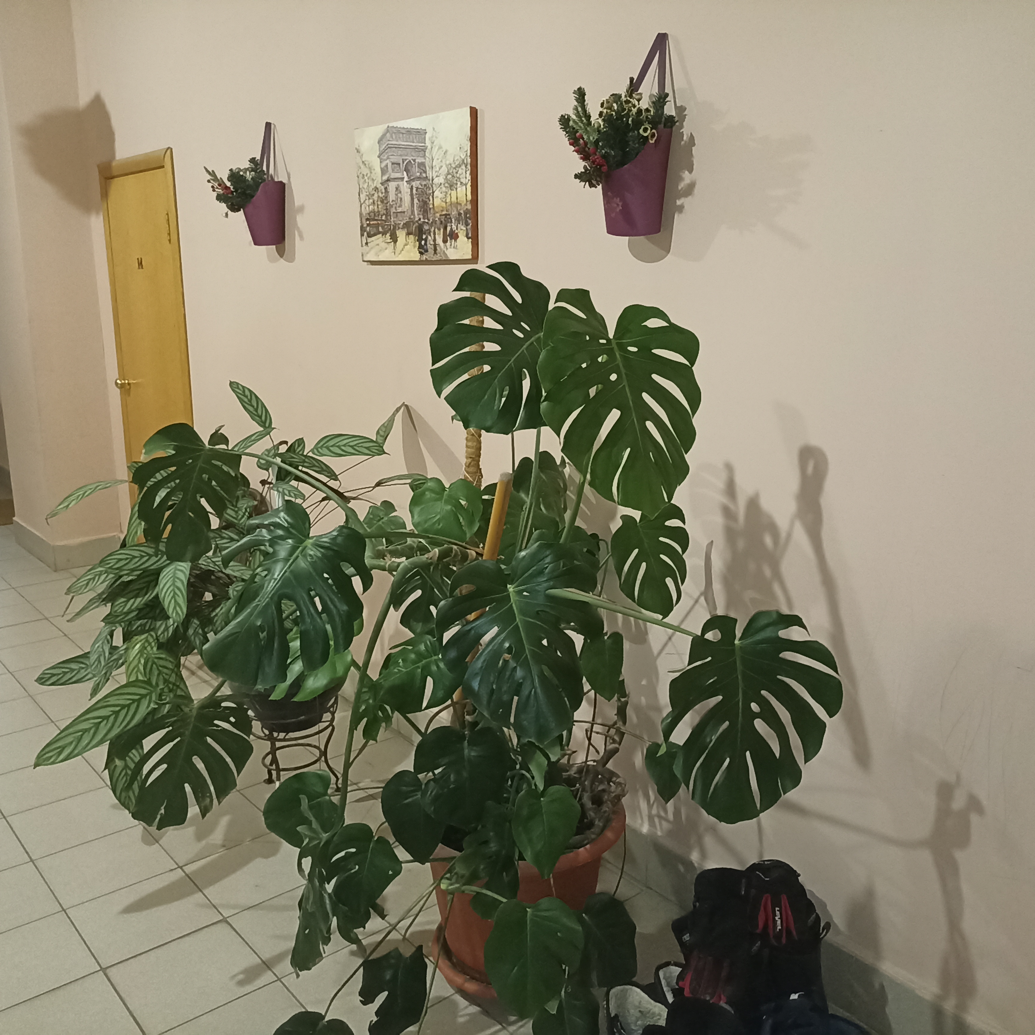 Фото Верста, усадьба Вавиловых