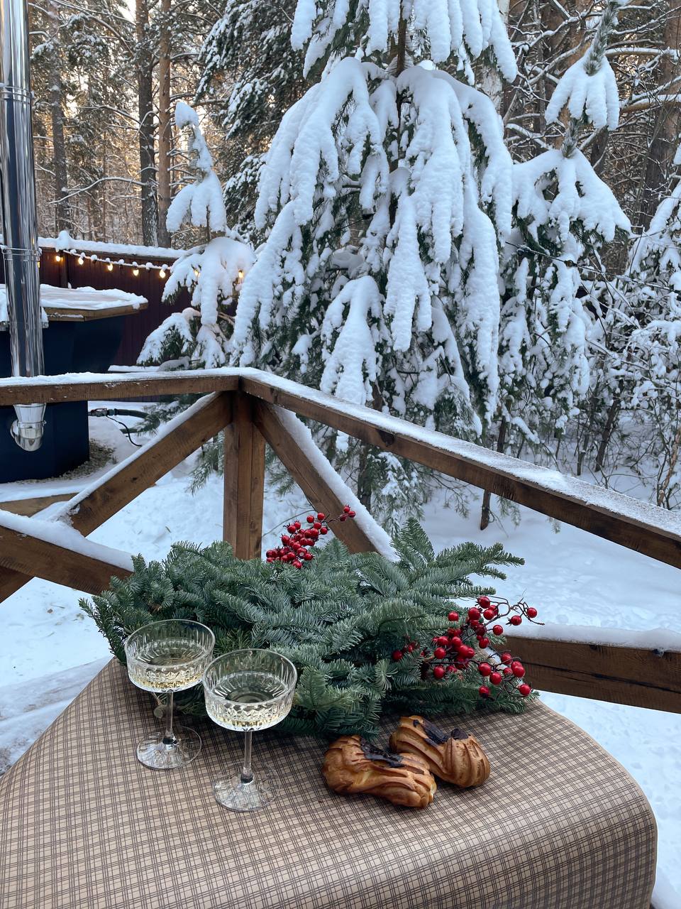 Фото Хворост