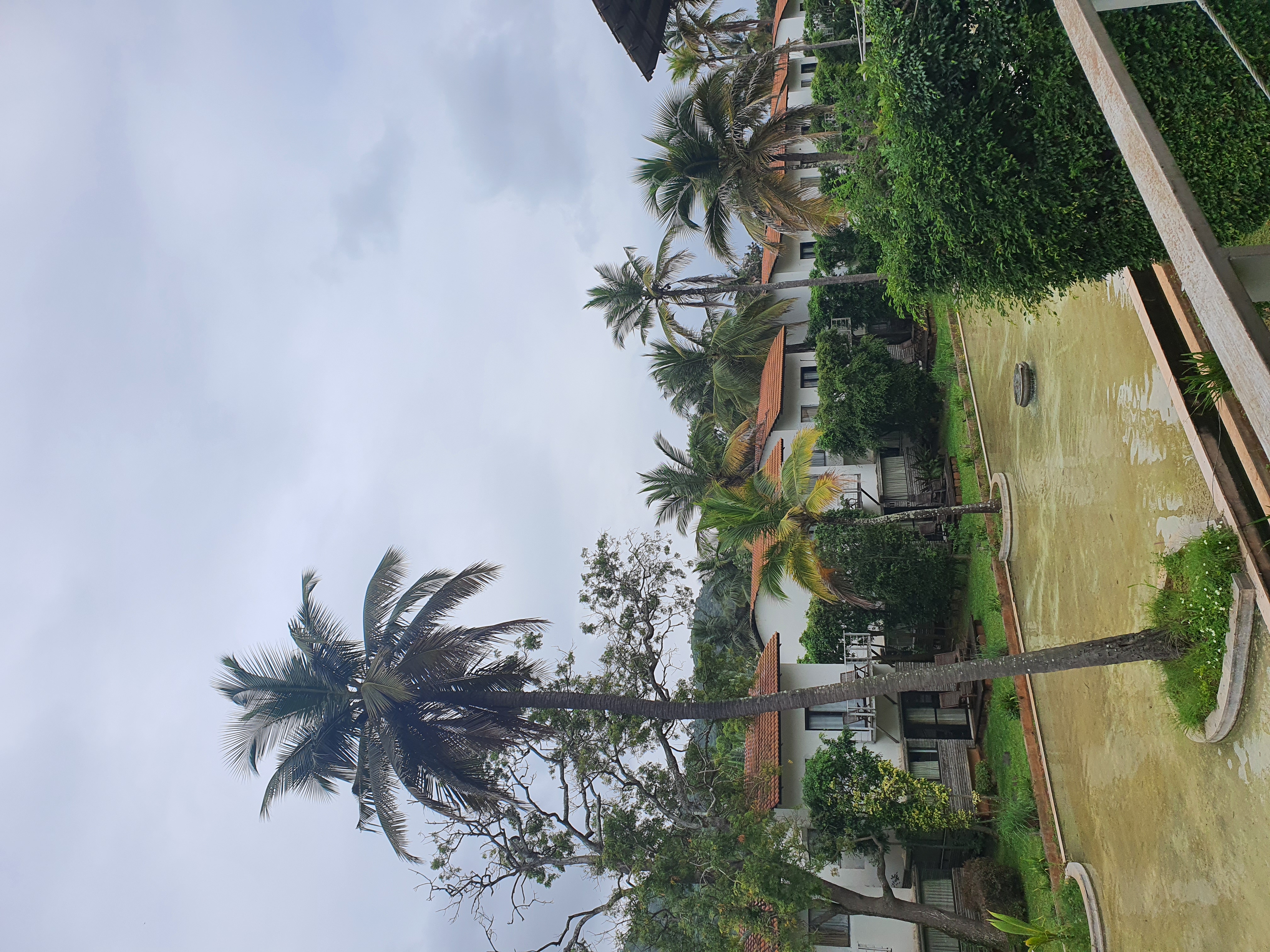 Фото The Windflower Resorts and SPA