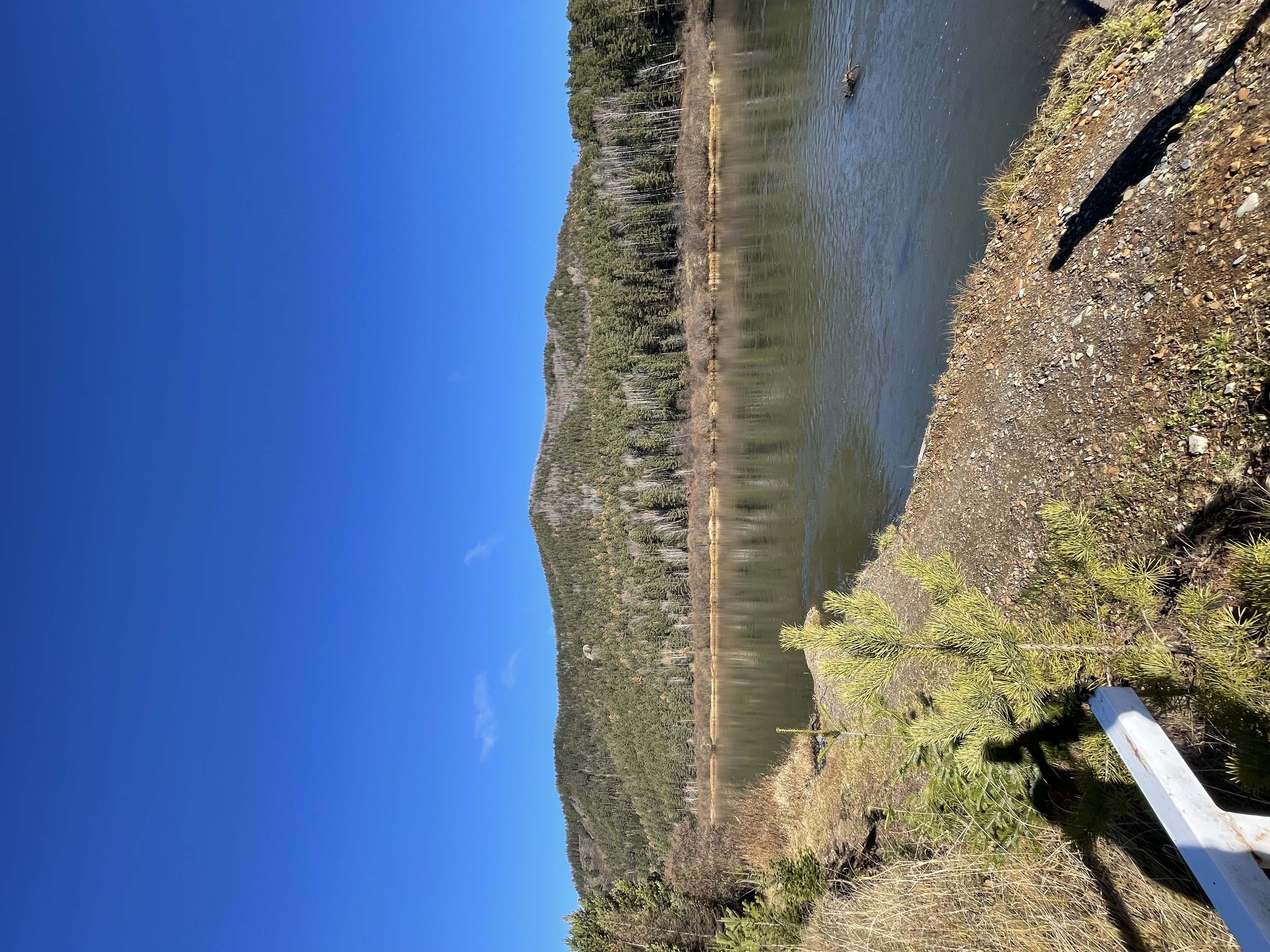 Фото Беретьклуб124