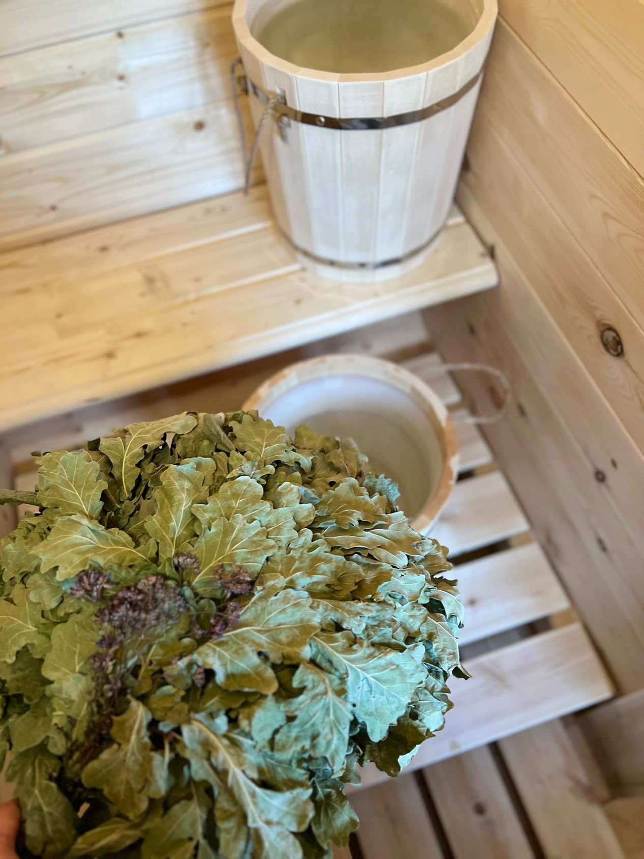 Фото Лес Да Река