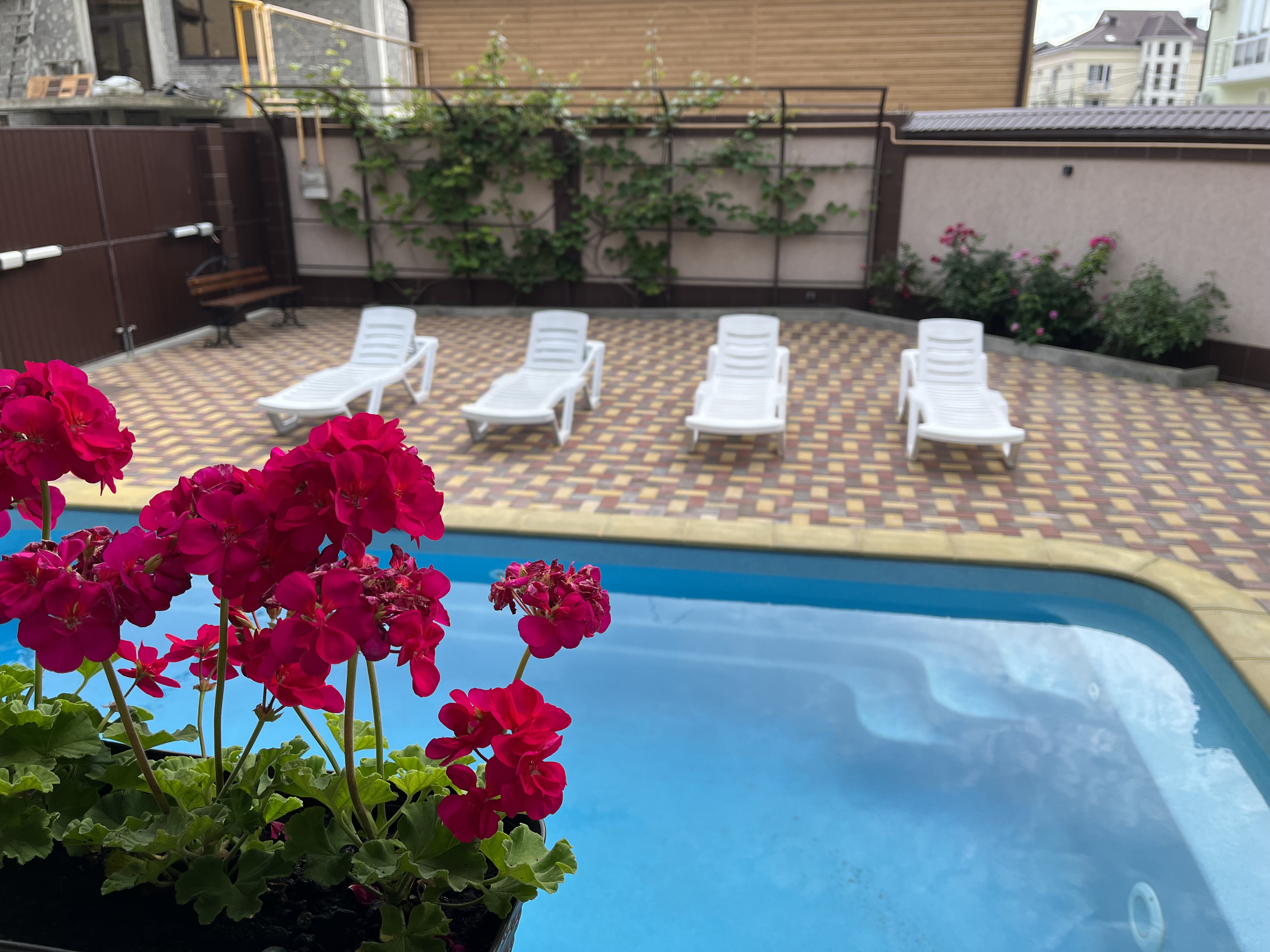 Фото Добрый