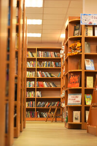 Dmitrov Central Settlement Library (Pochtovaya ulitsa No:16к2, Dmitrov), kütüphaneler  Dmitrov'dan