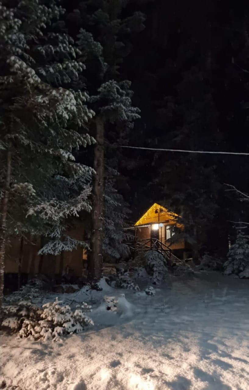 Фото Тур-домики Поляна Зубров