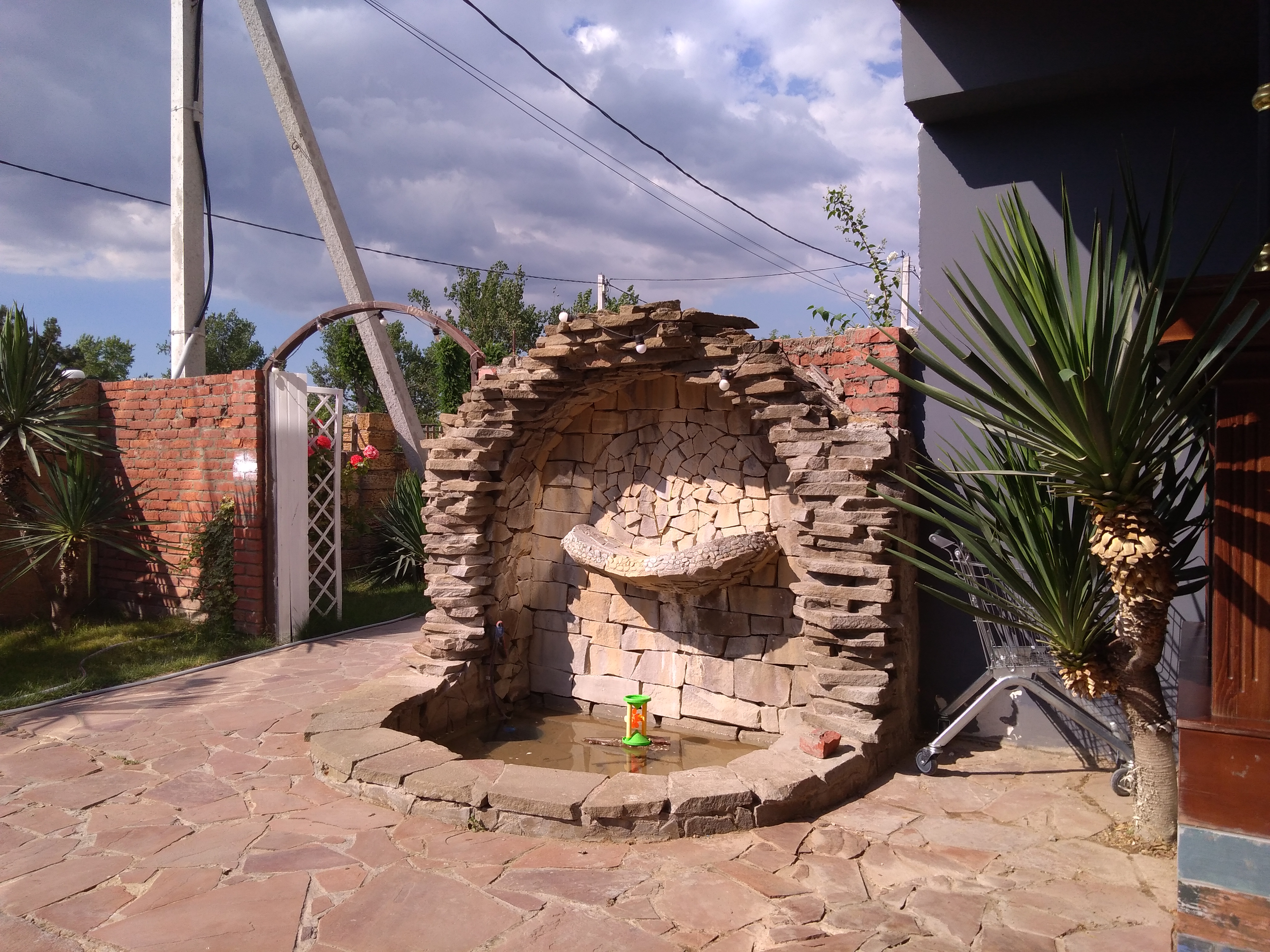 Фото Дублин Дельфин