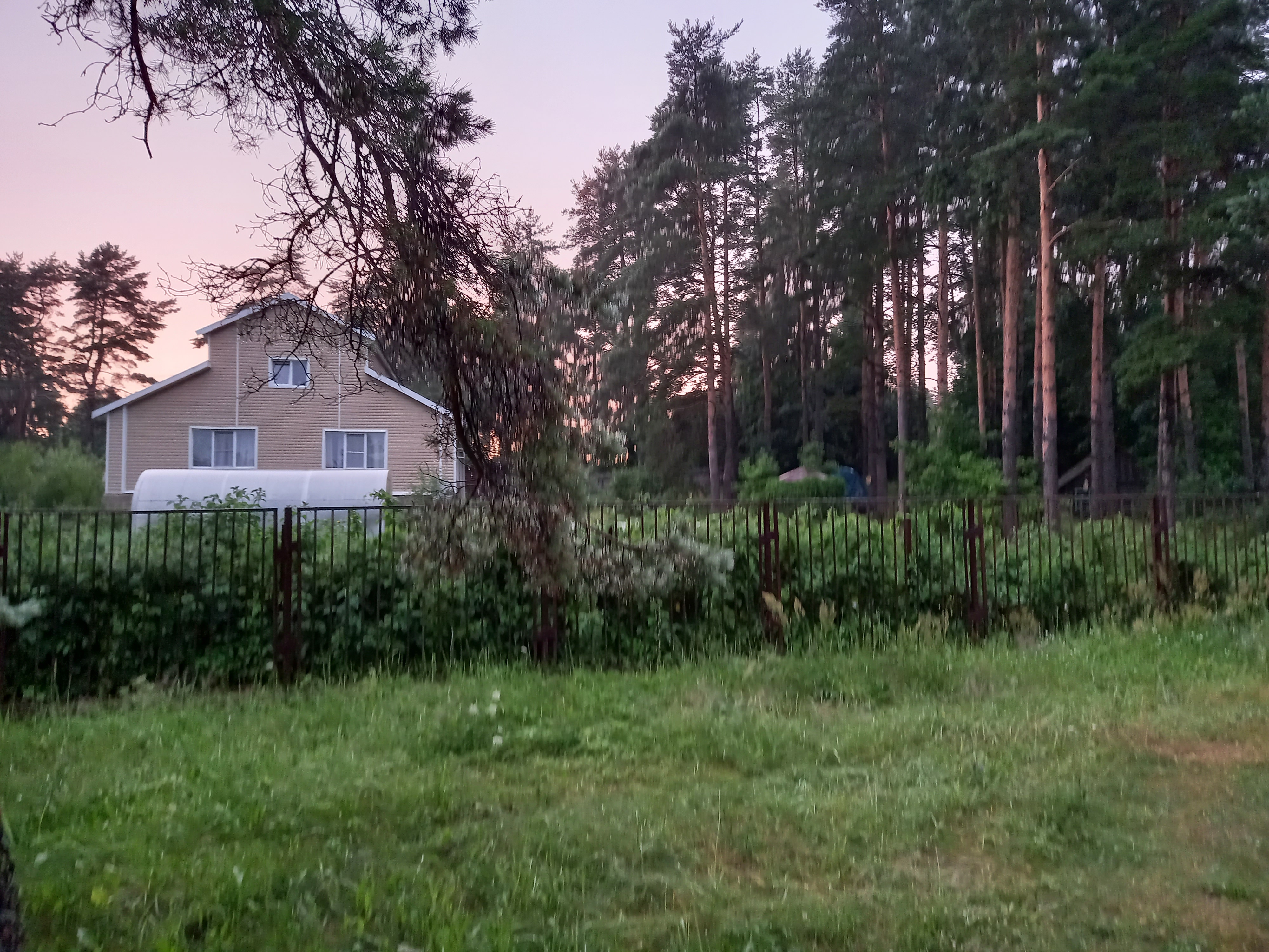 Фото Дом у сосен