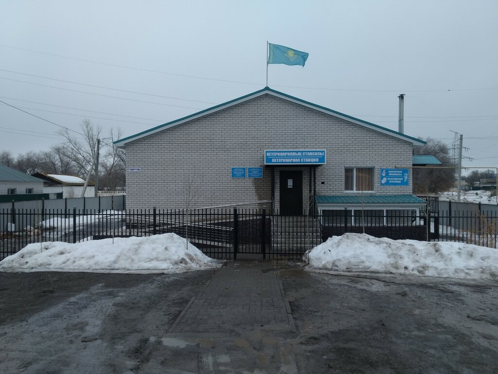 عيادة بيطرية Gorodskaya veterinarnaya stantsiya ، ، صورة