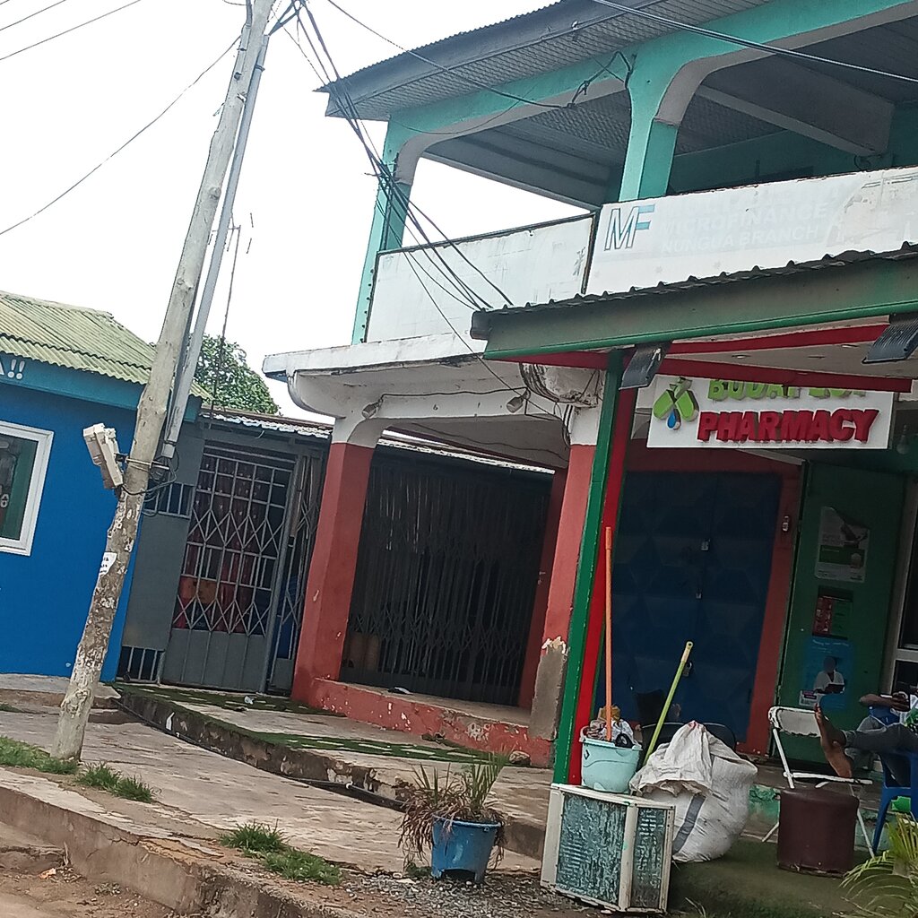 Microfinance institution Multibility Microfinance, Earth, photo