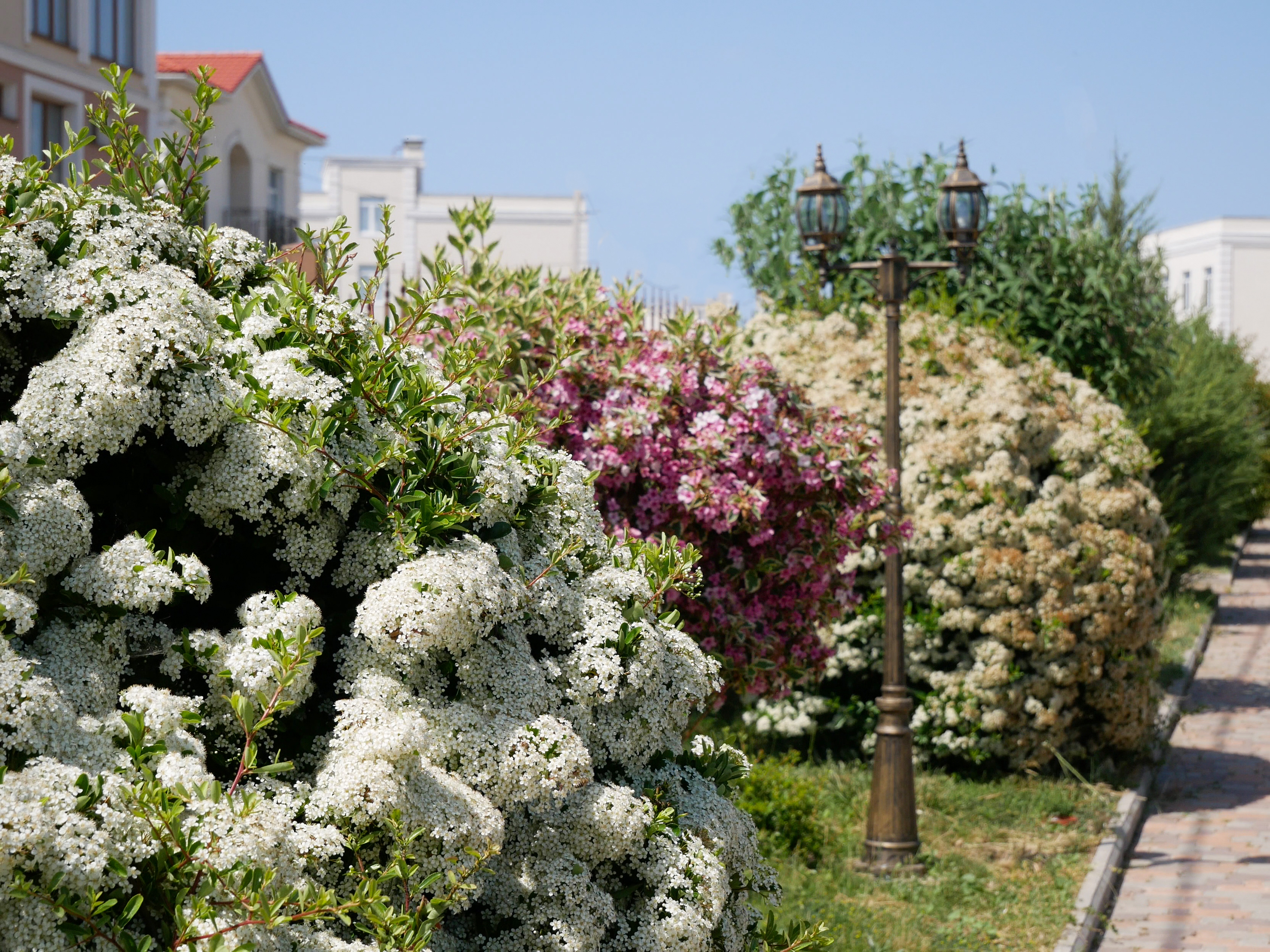 Фото Вилла Венеция