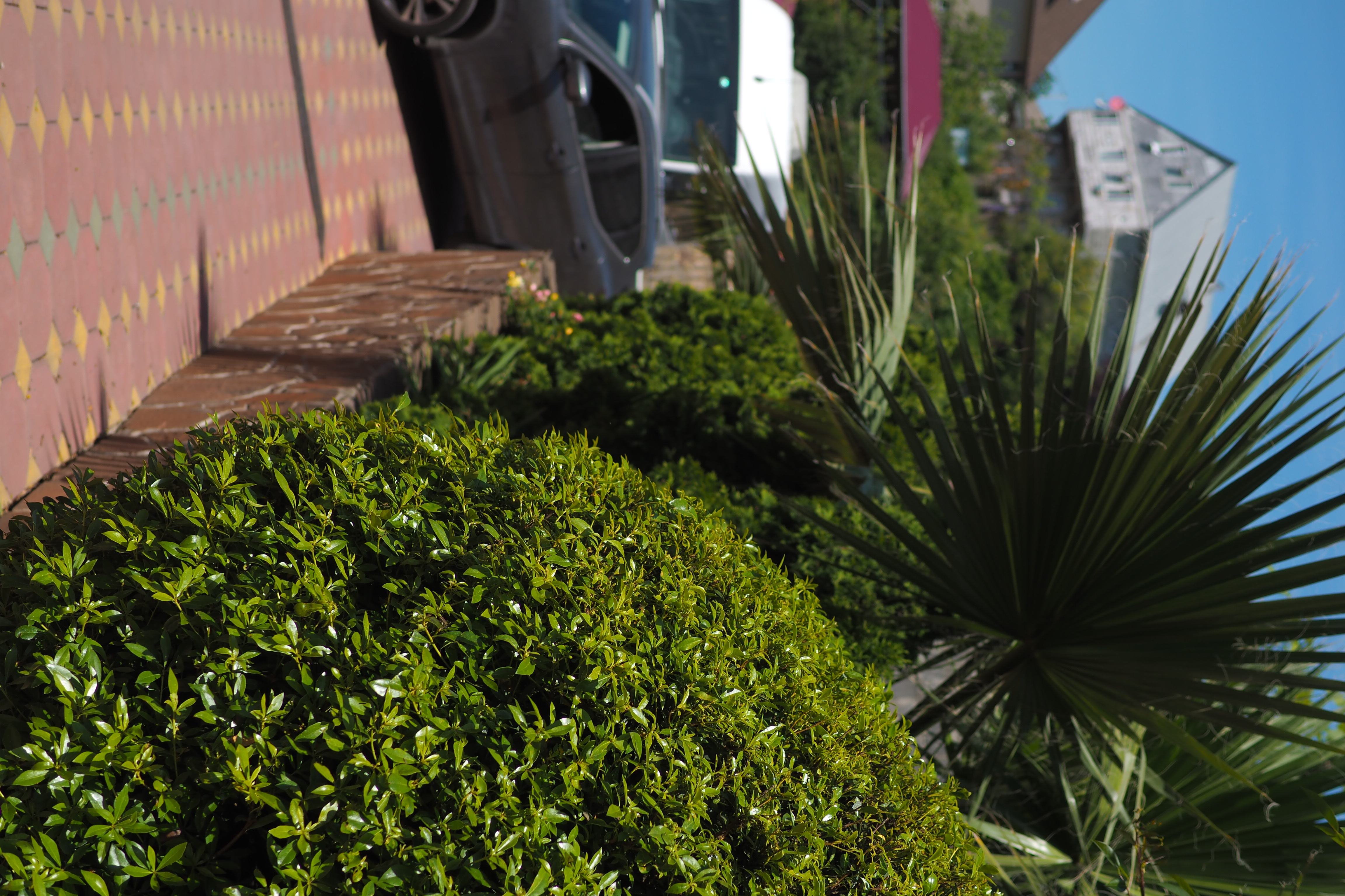 Фото Сибиряк