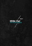 White Owl (ulitsa Lenina, 6), cafe