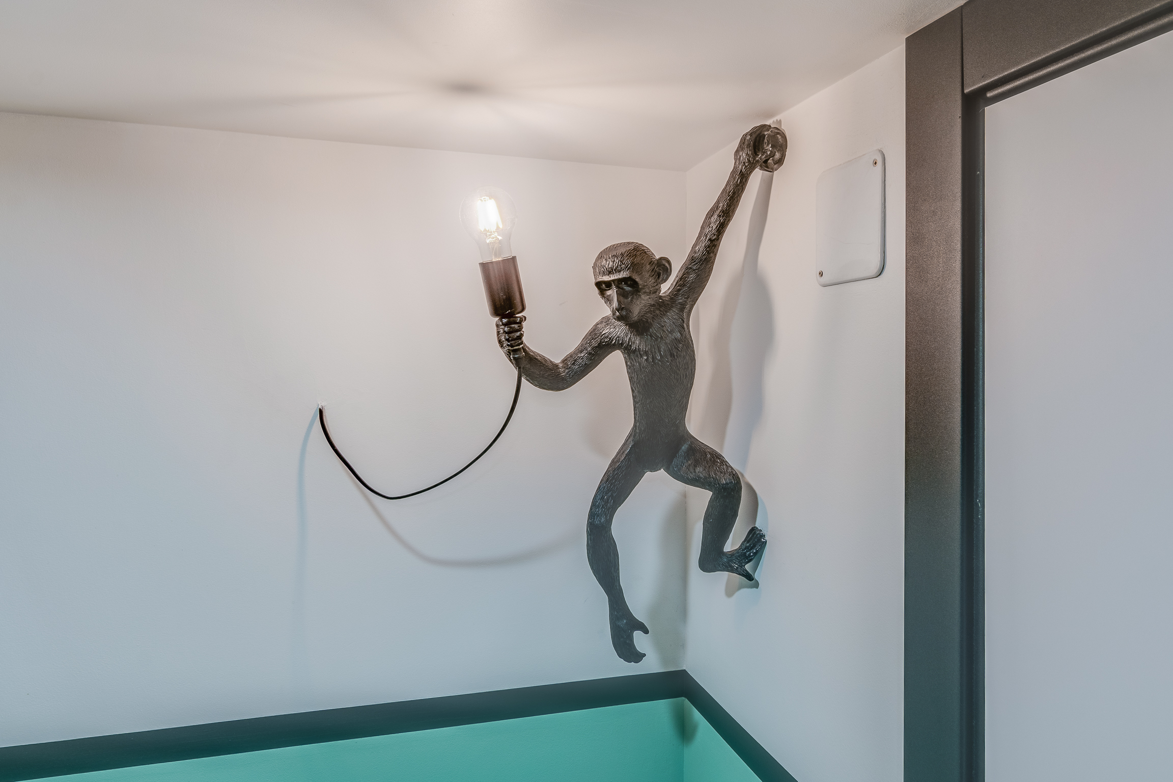 Фото Sokroma Джунгли