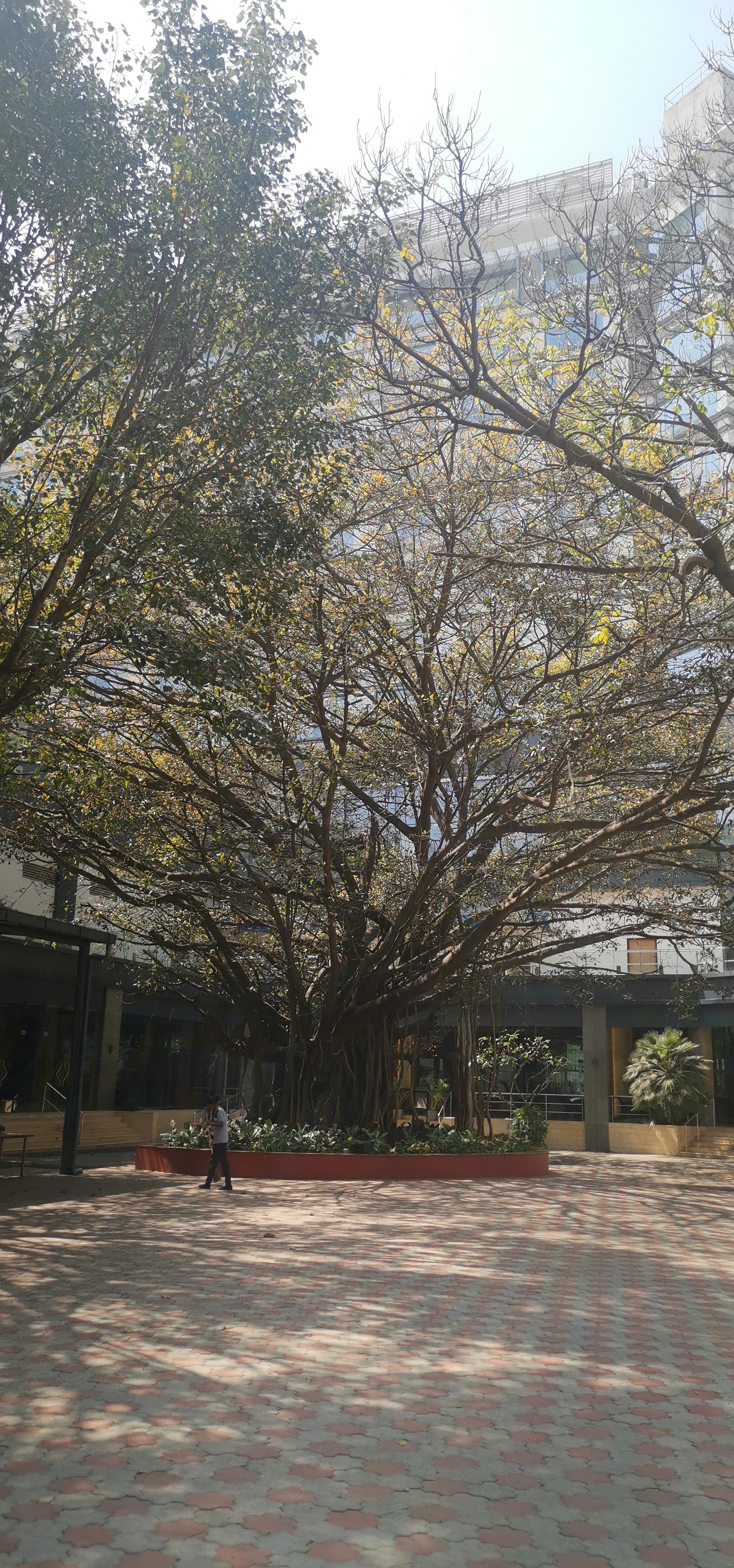 Фото Taj Yeshwantpur, Bengaluru