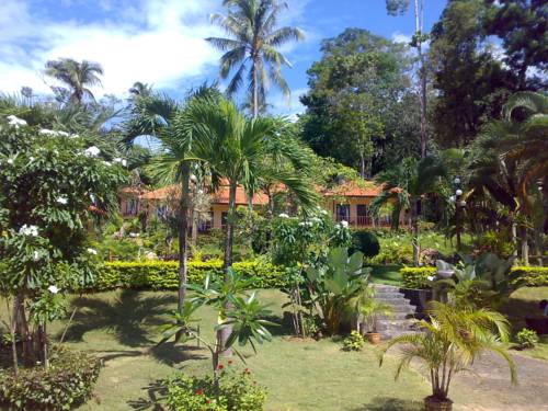 Фото Paradise Bungalows