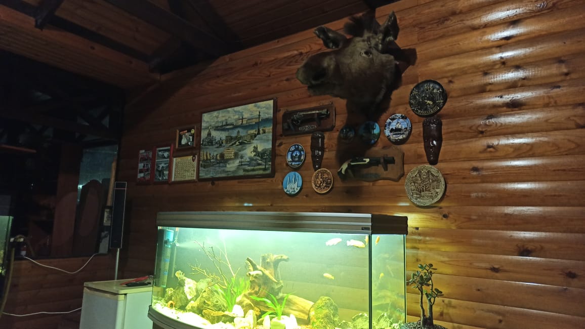 Фото Ключевой 9