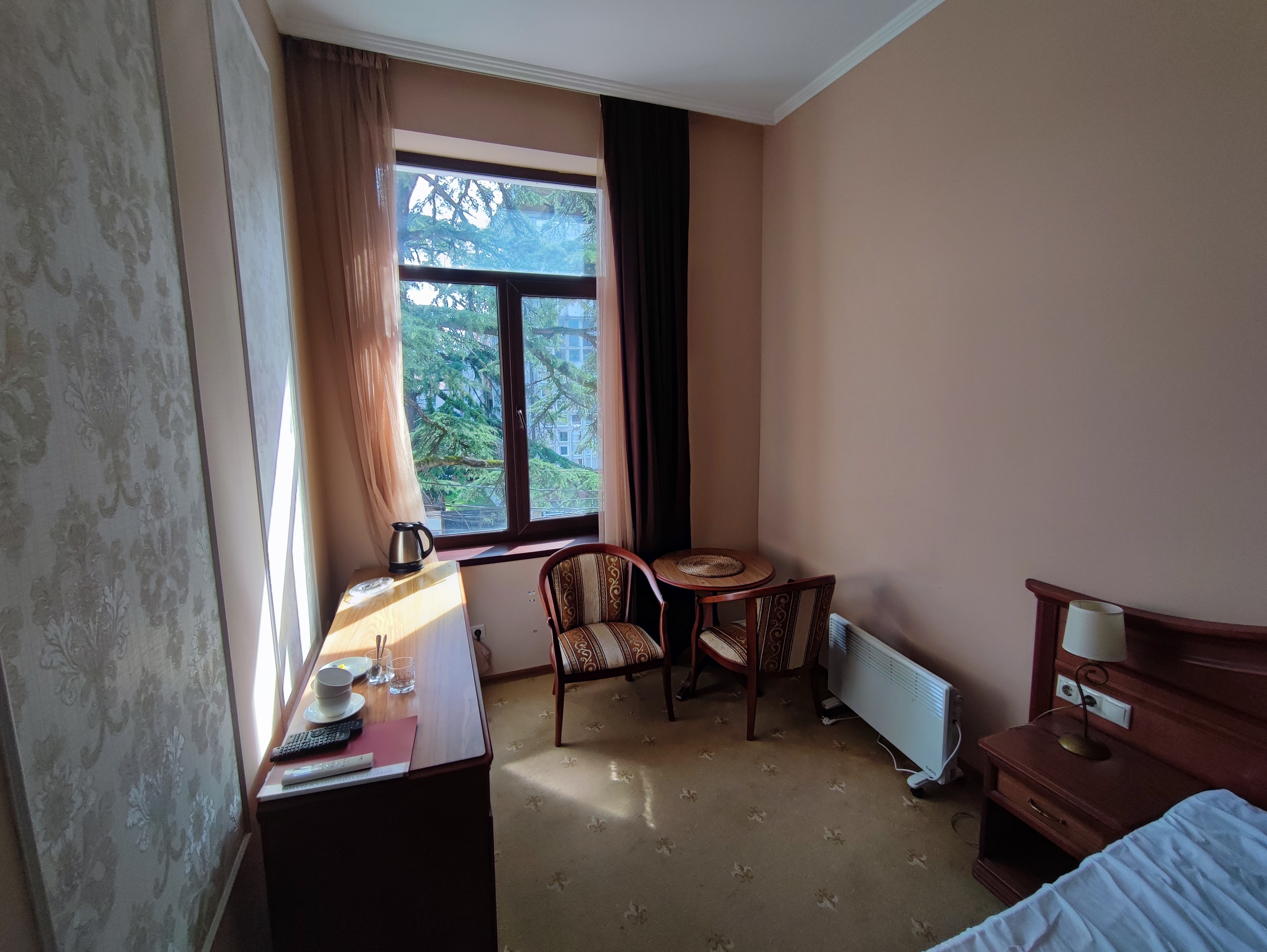 Фото Диоскурия