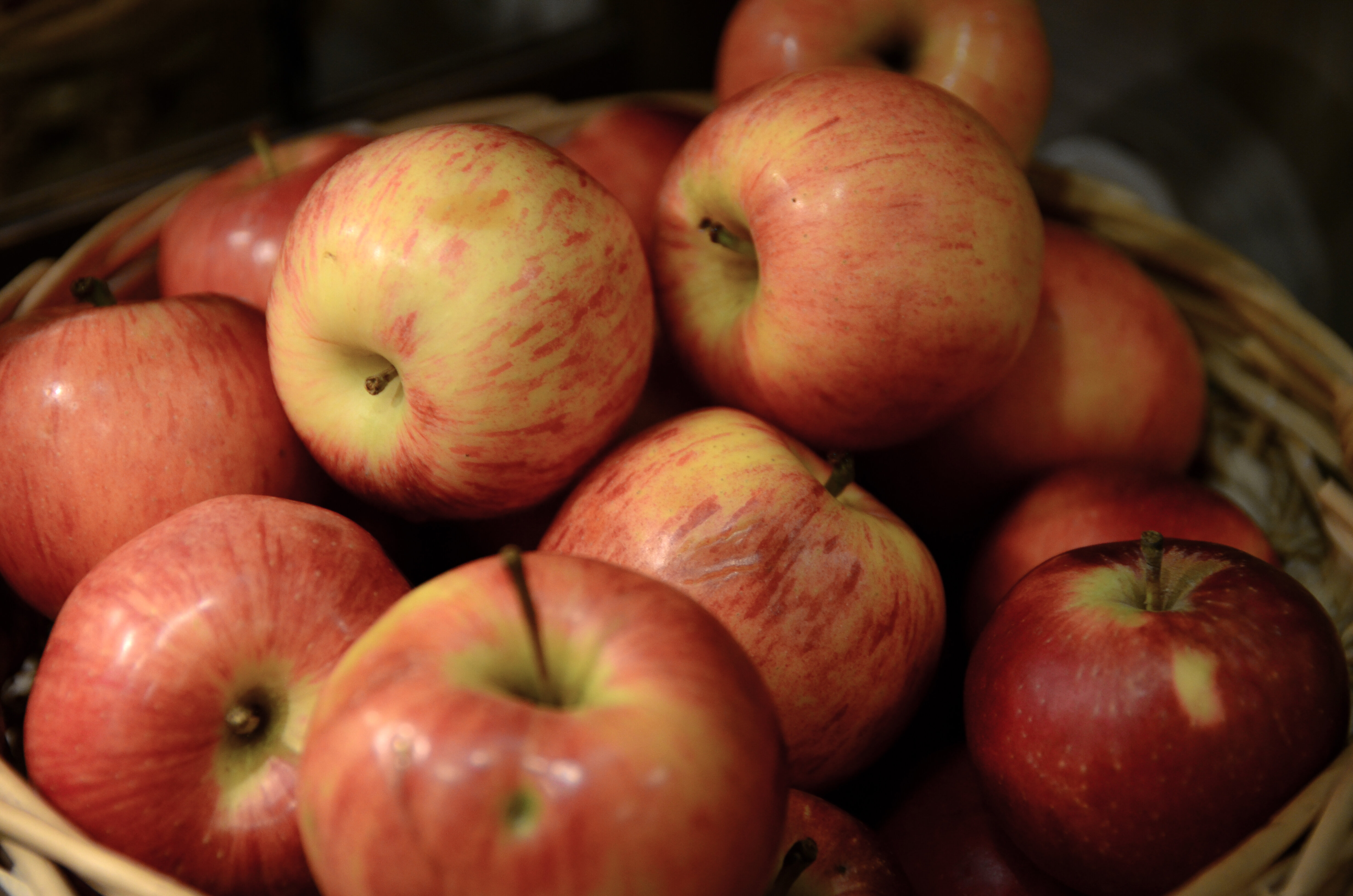 Фото Трезини Арт Отель