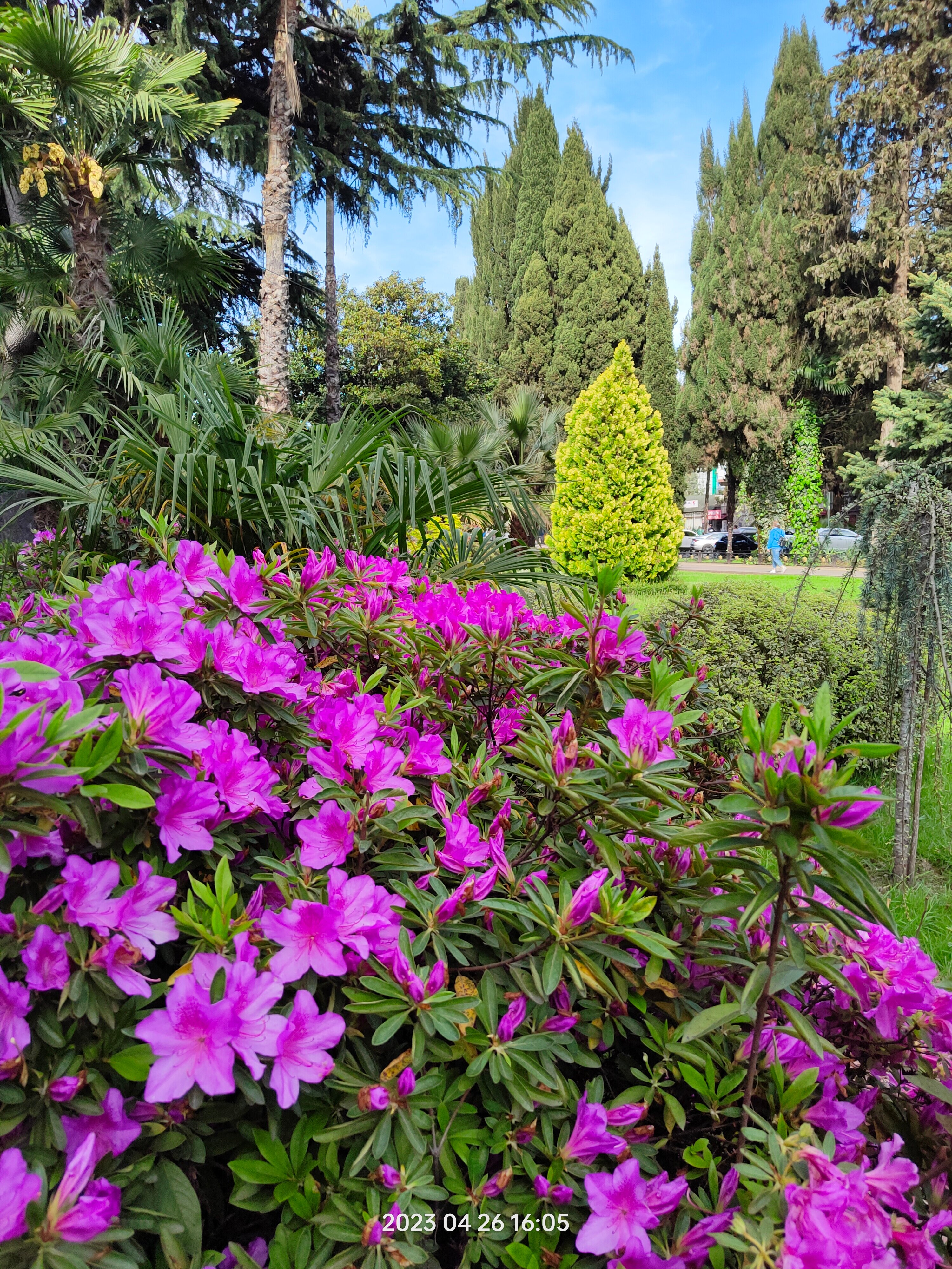 Фото На высоте!