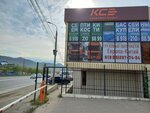Trsn (territoriya Tsemdolina, Lenina Street, 246), auto parts and auto goods store