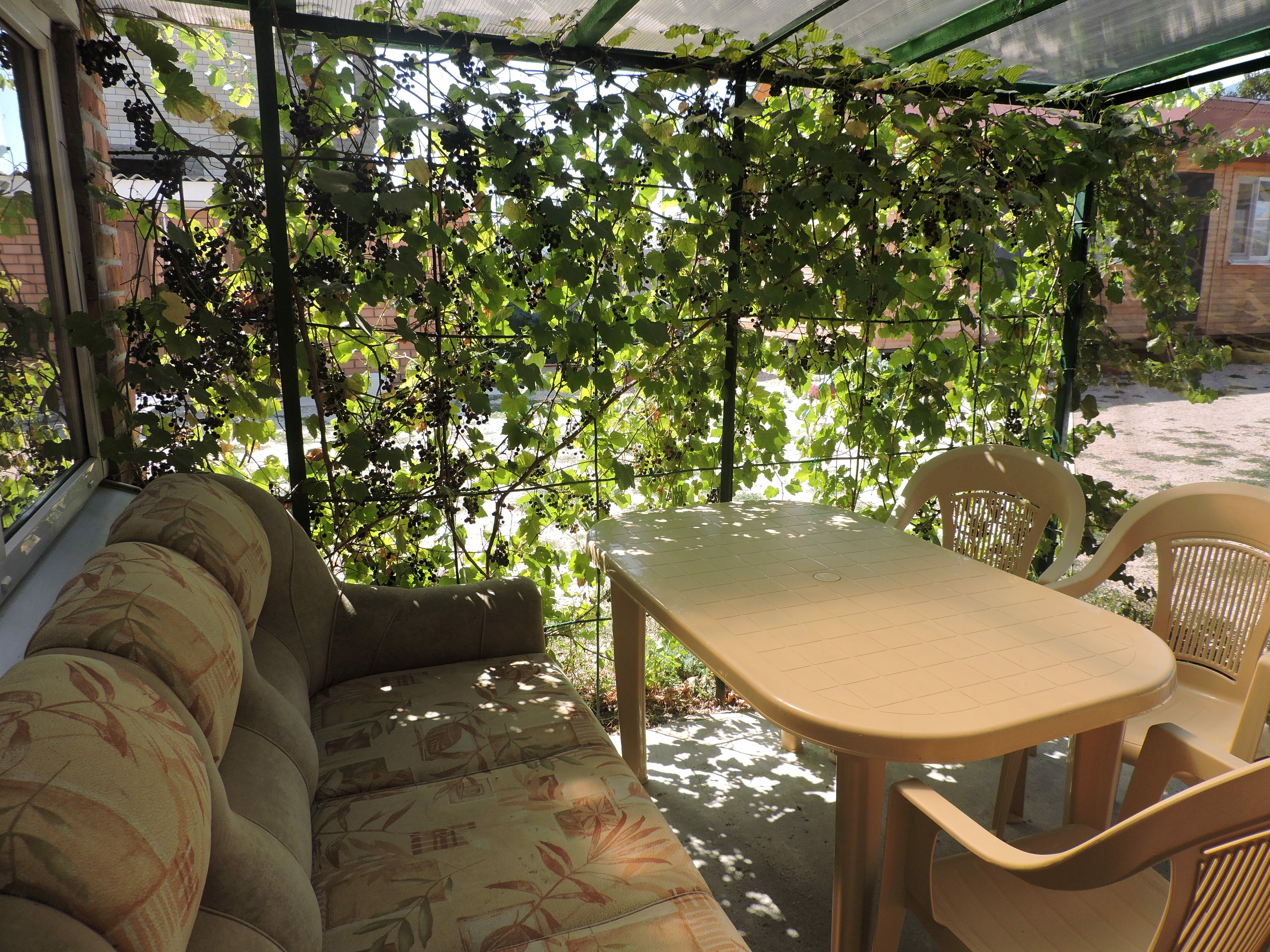 Фото Должанский дворик