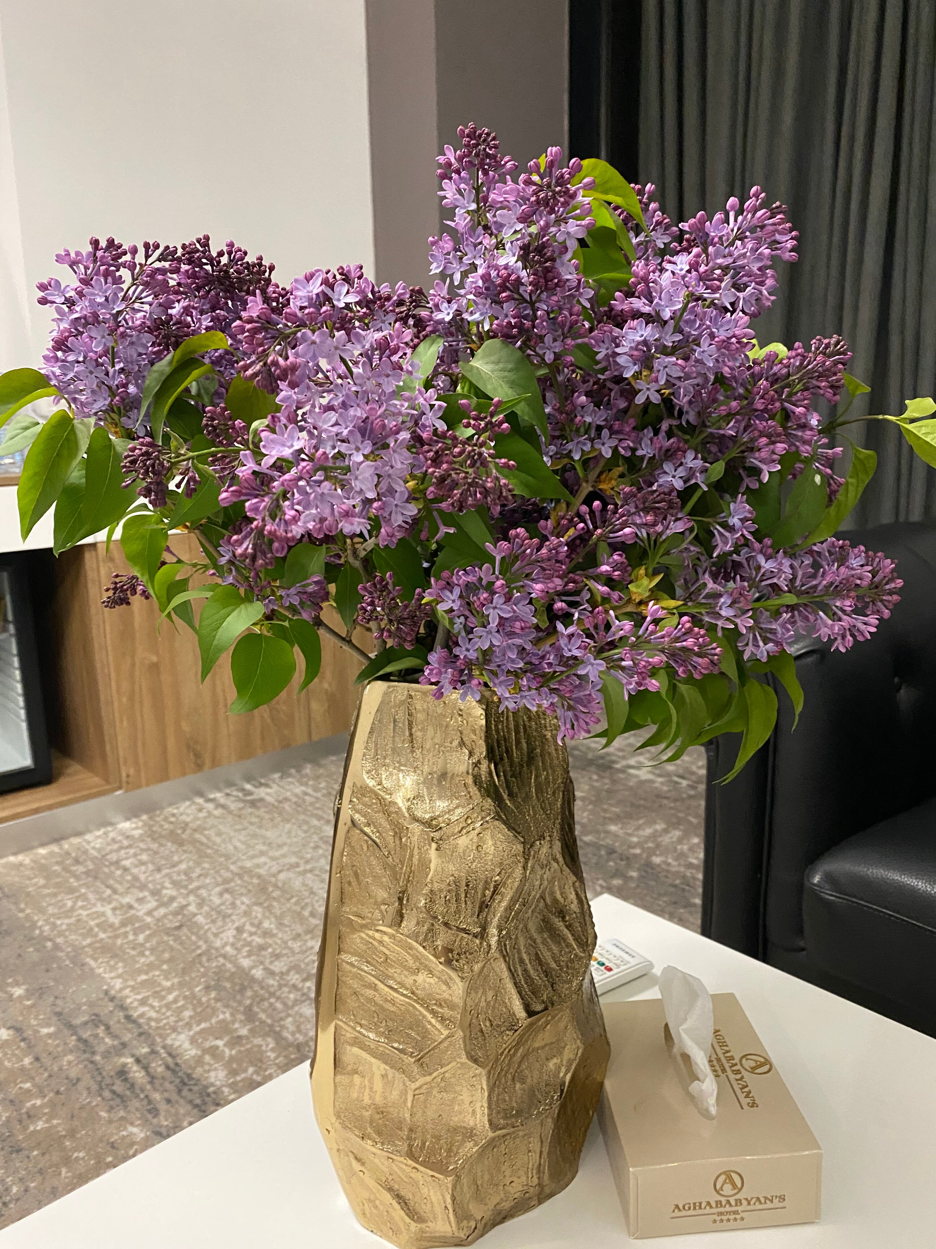 Фото Aghababyan's Hotel