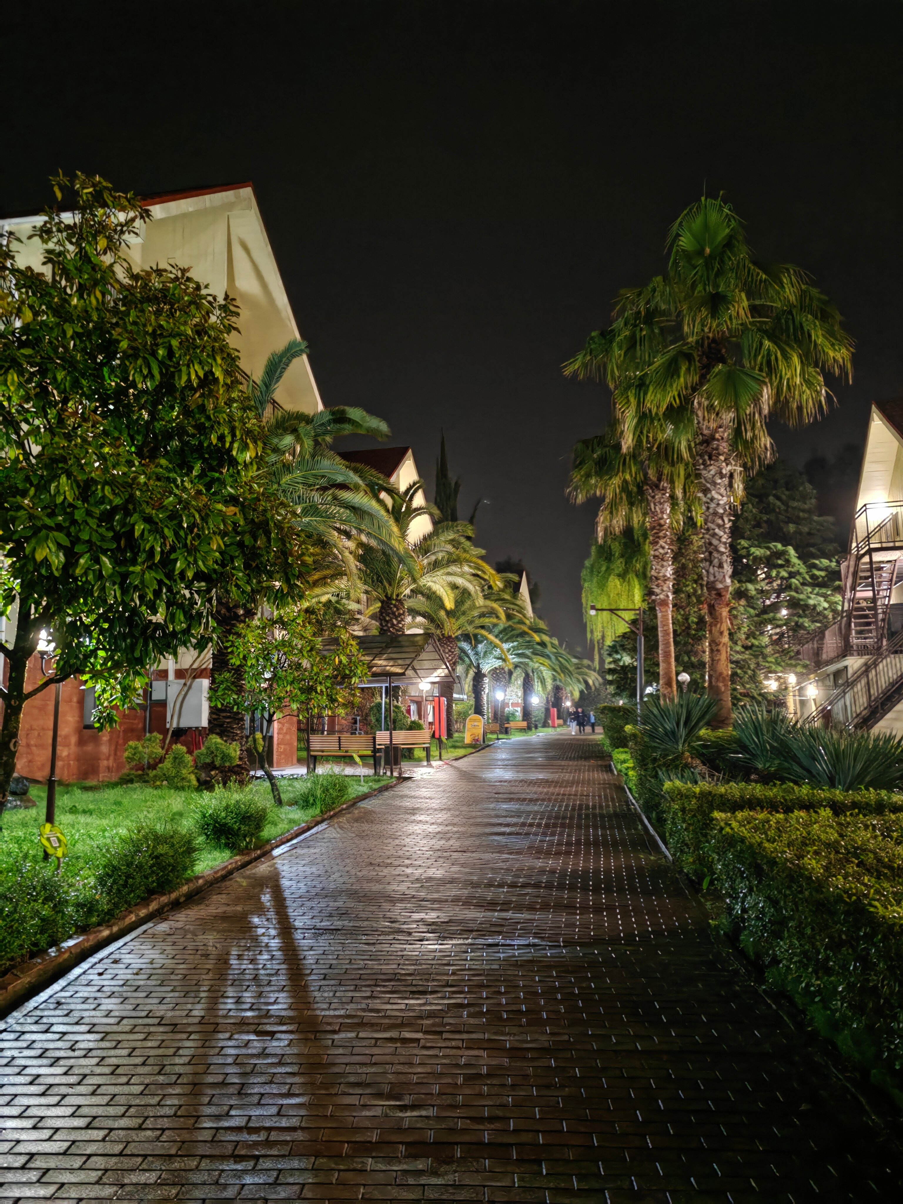 Фото Дивный