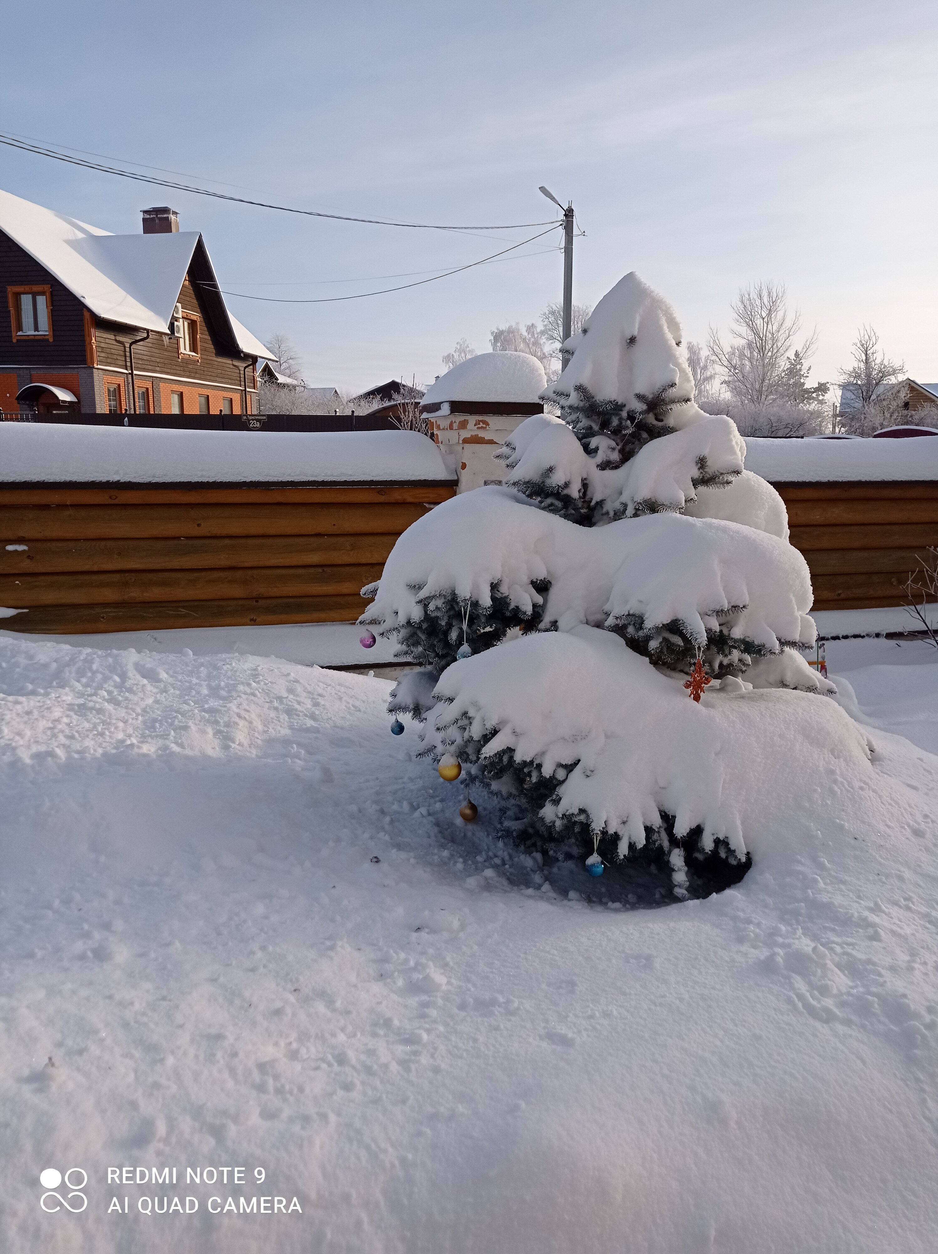 Фото Саттва