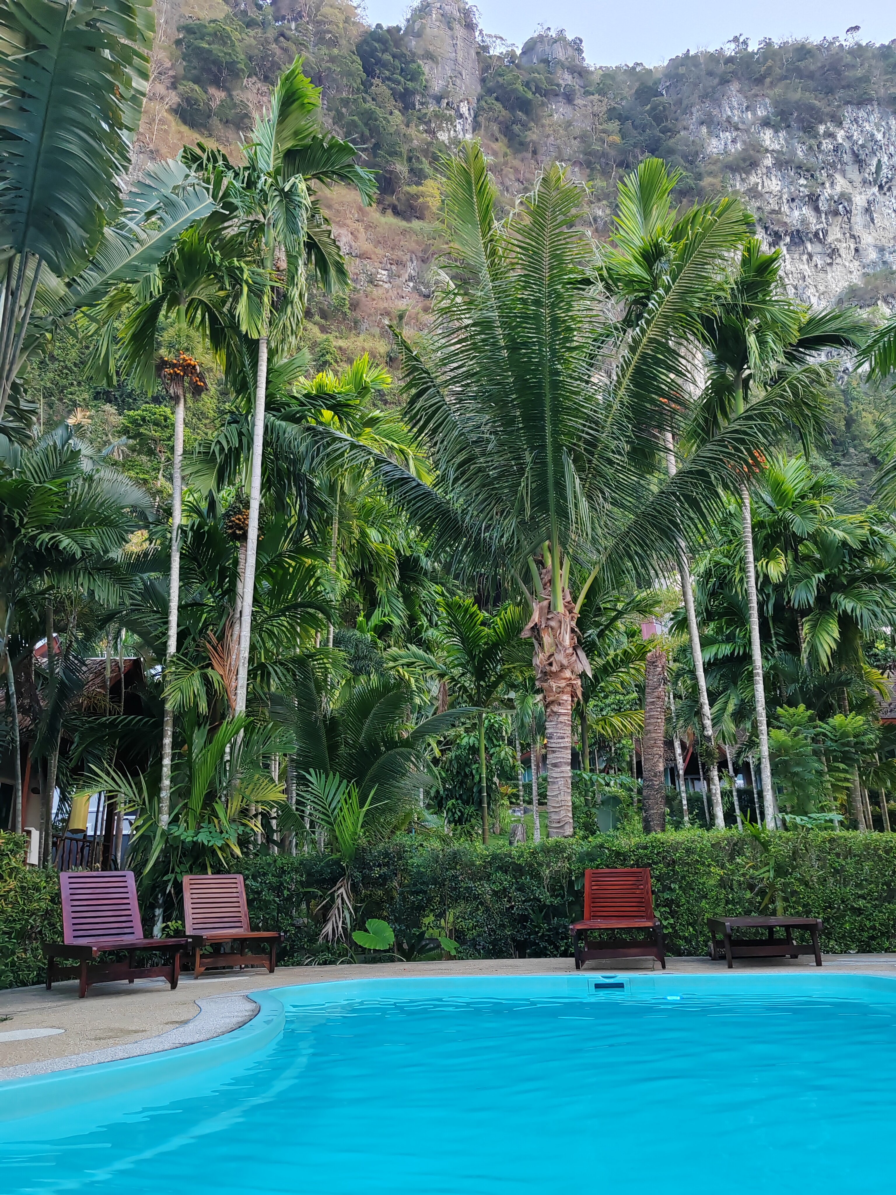 Фото Vipa Tropical Resort