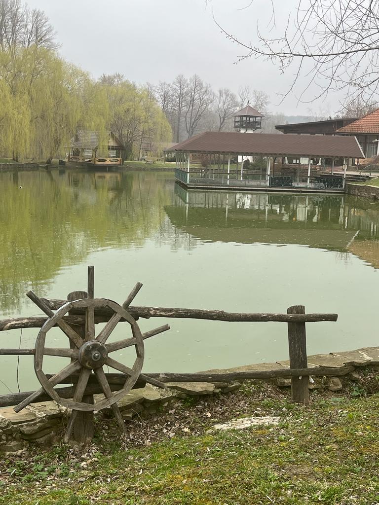 Фото Кура-цеце