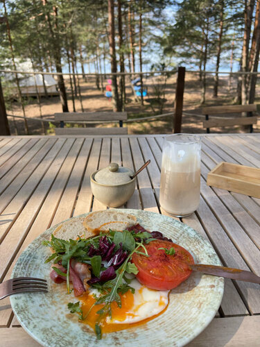 Restaurant Mytree, Saint‑Petersburg and Leningrad Oblast, photo