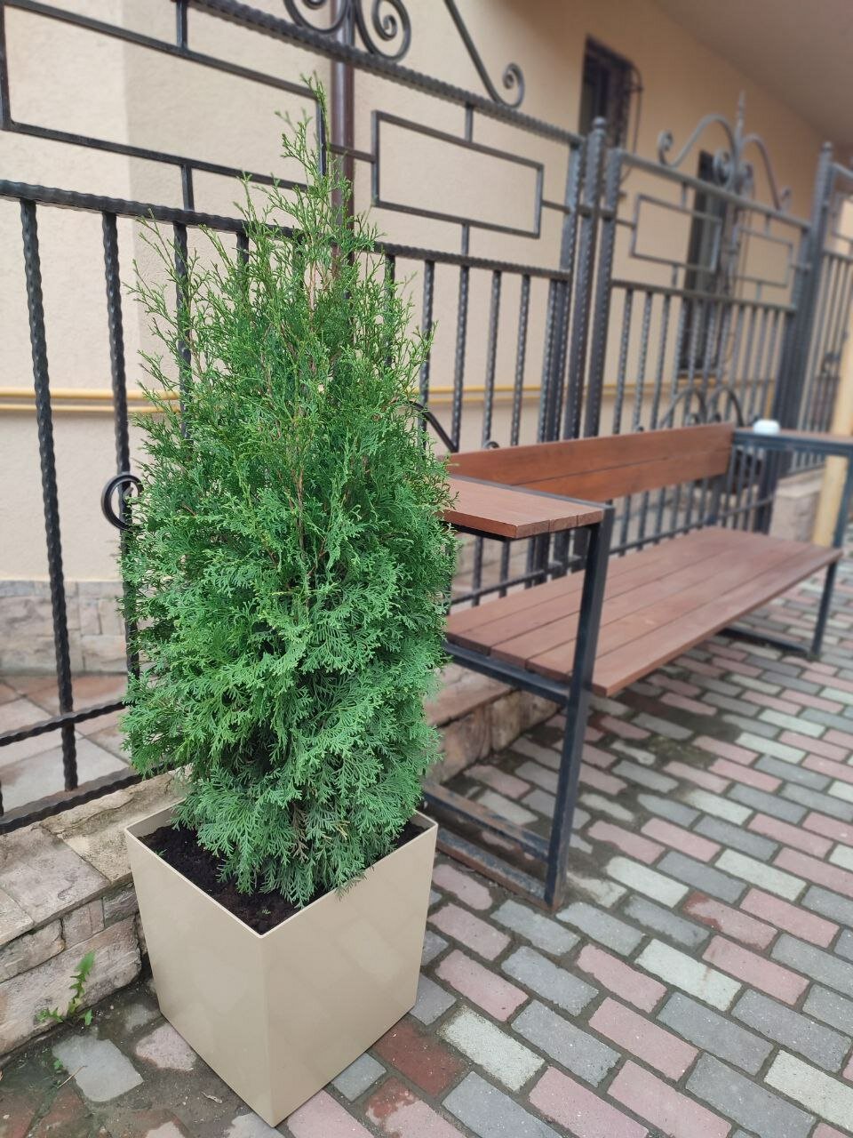 Фото Нарзан