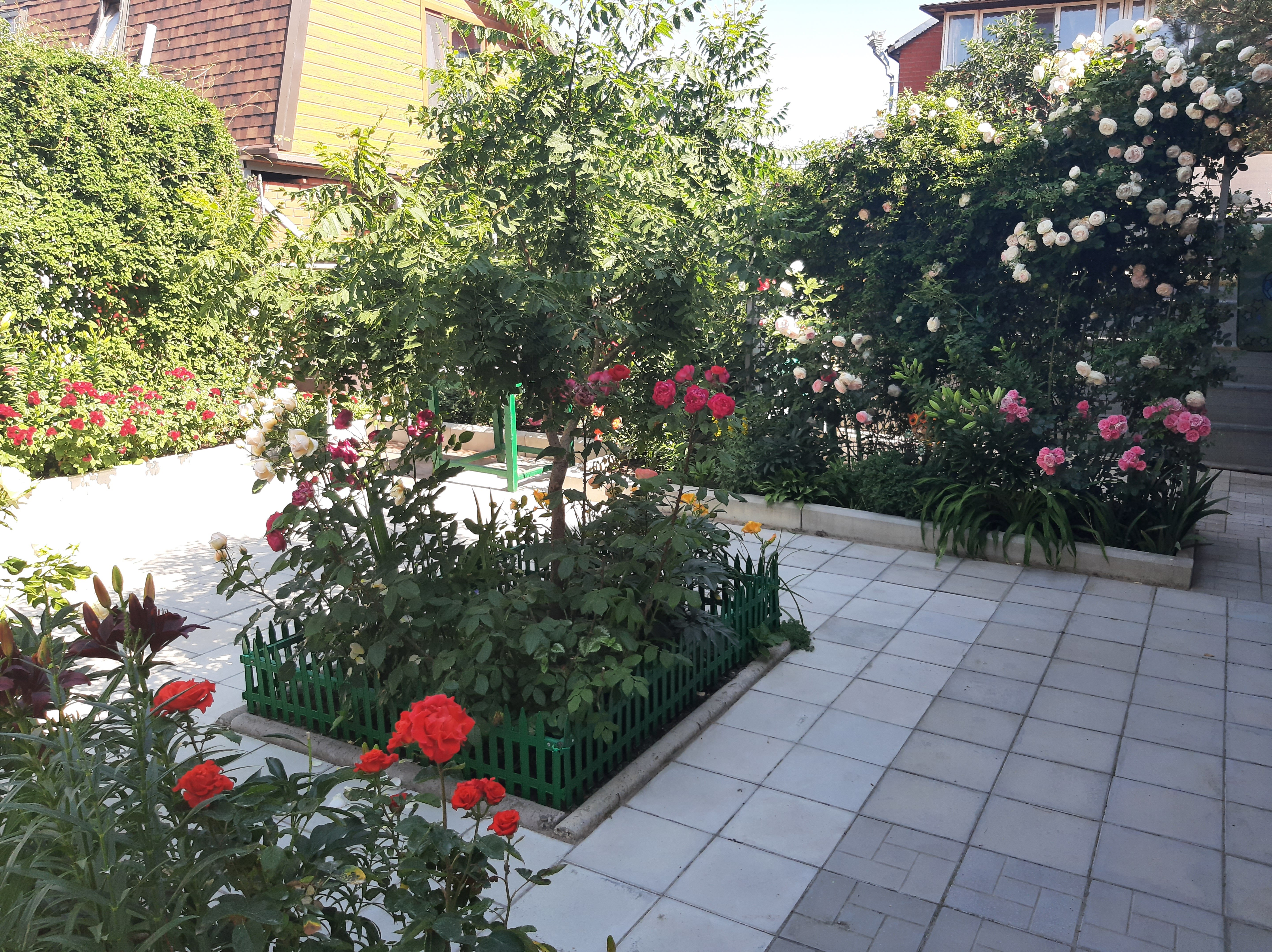 Фото Акварель