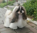 Дог Имидж (ulitsa Chernyshevskogo, 118), pet salon