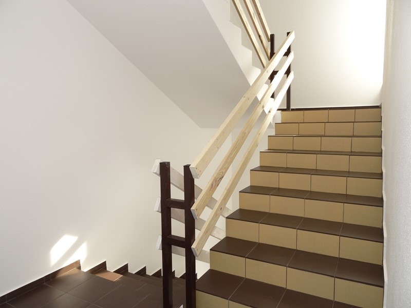 Фото Магнолия 2