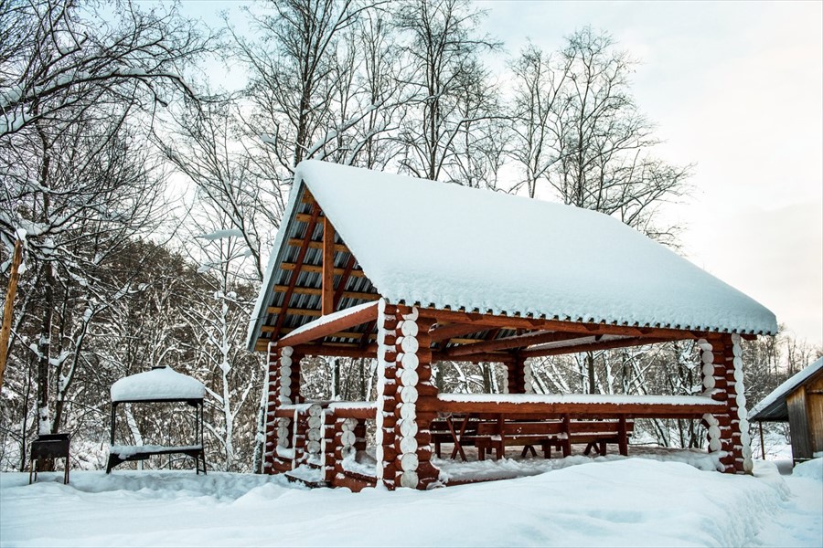 Фото Сосновый Бор
