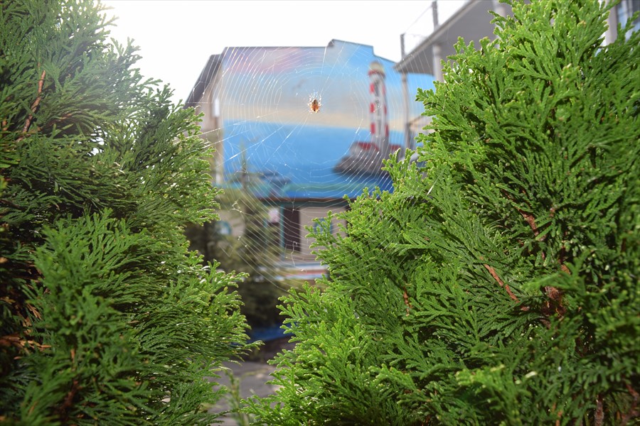 Фото Два маяка