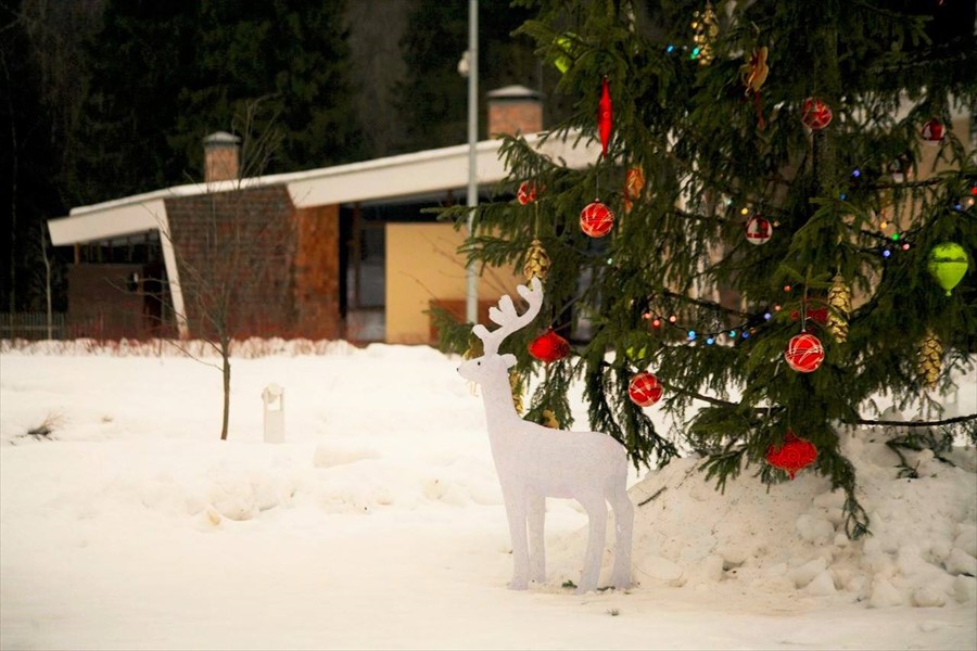 Фото Родники