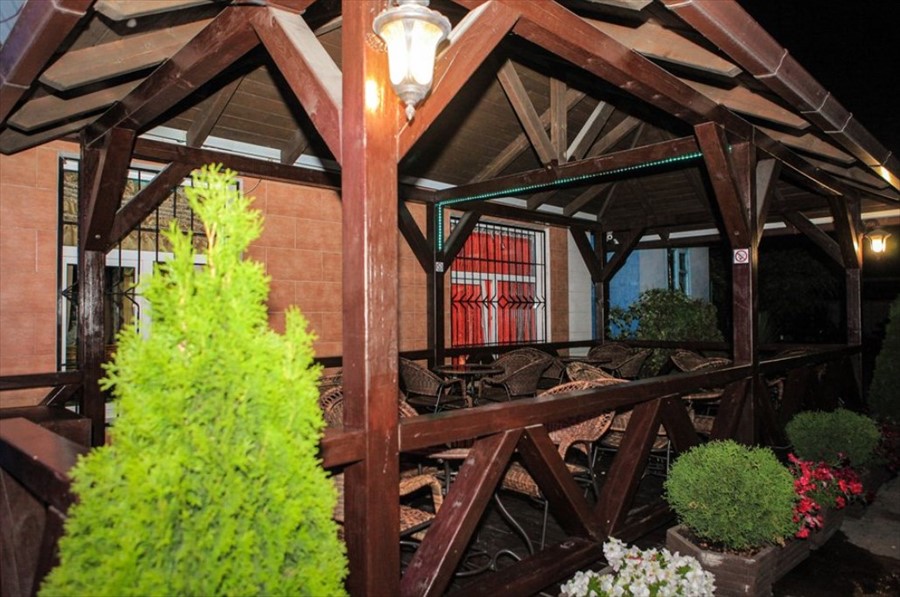 Фото Магнолия