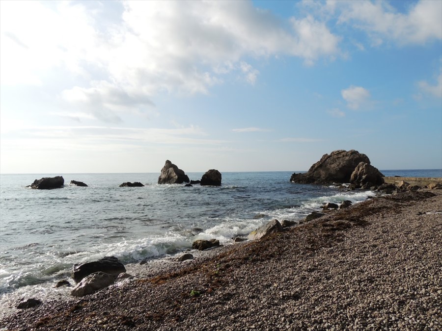 Фото Лиго Морская