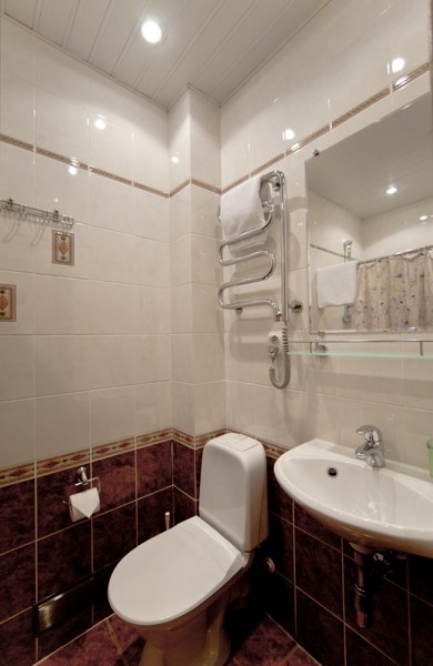 Фото Холстомер