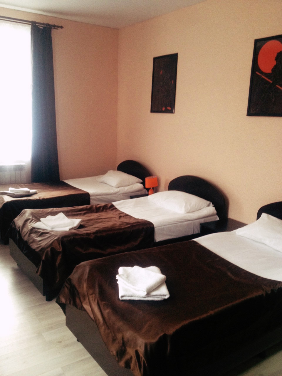 Фото Базилик