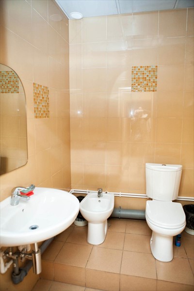 Фото Вежливый лось