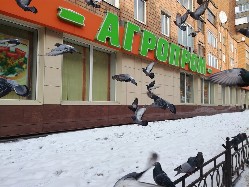 Торговый центр Агропром, Красноярск, фото