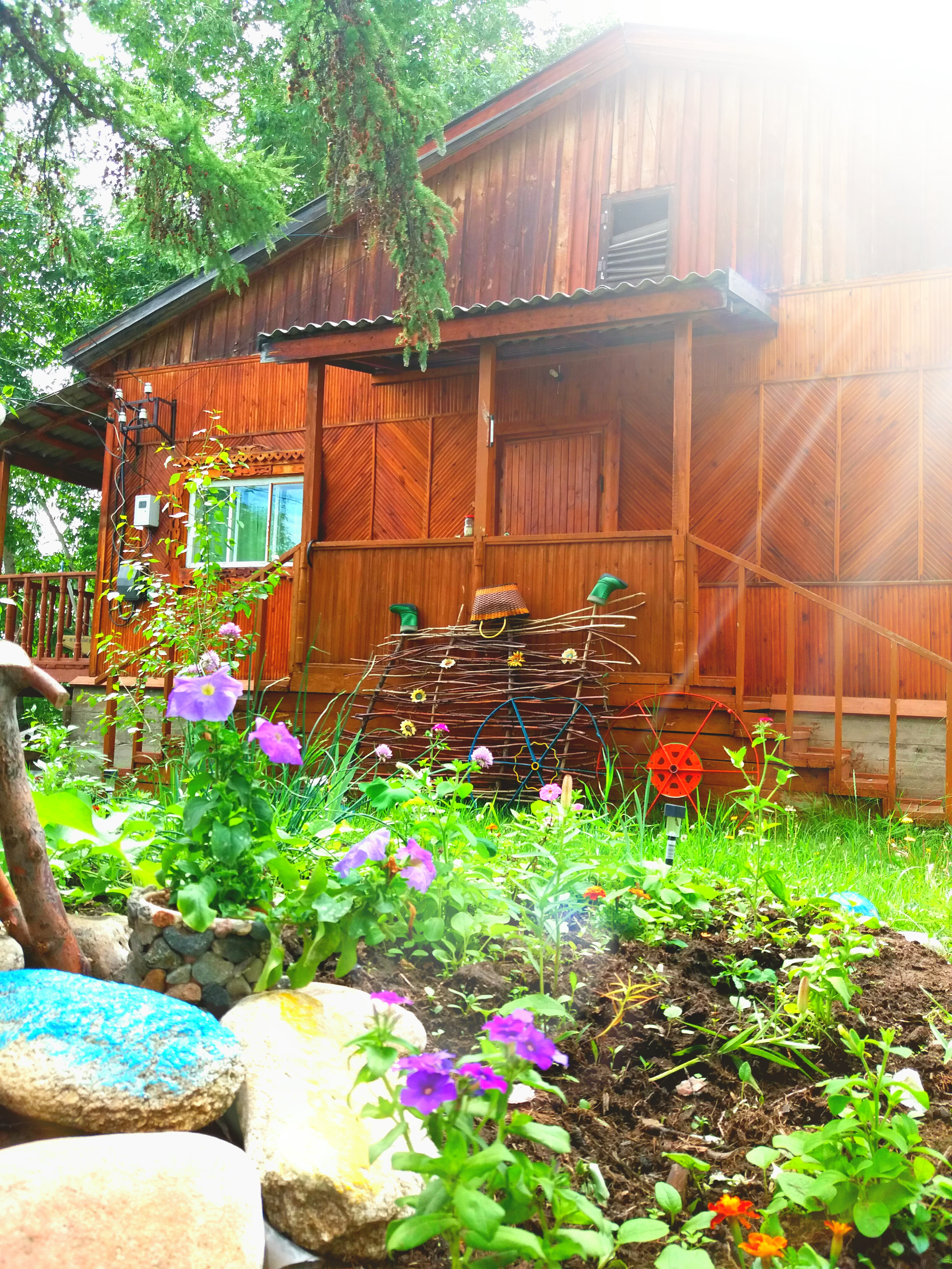 Фото Байкальский лучик