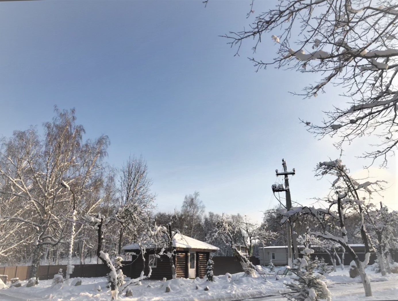 Фото Серебряный Бор