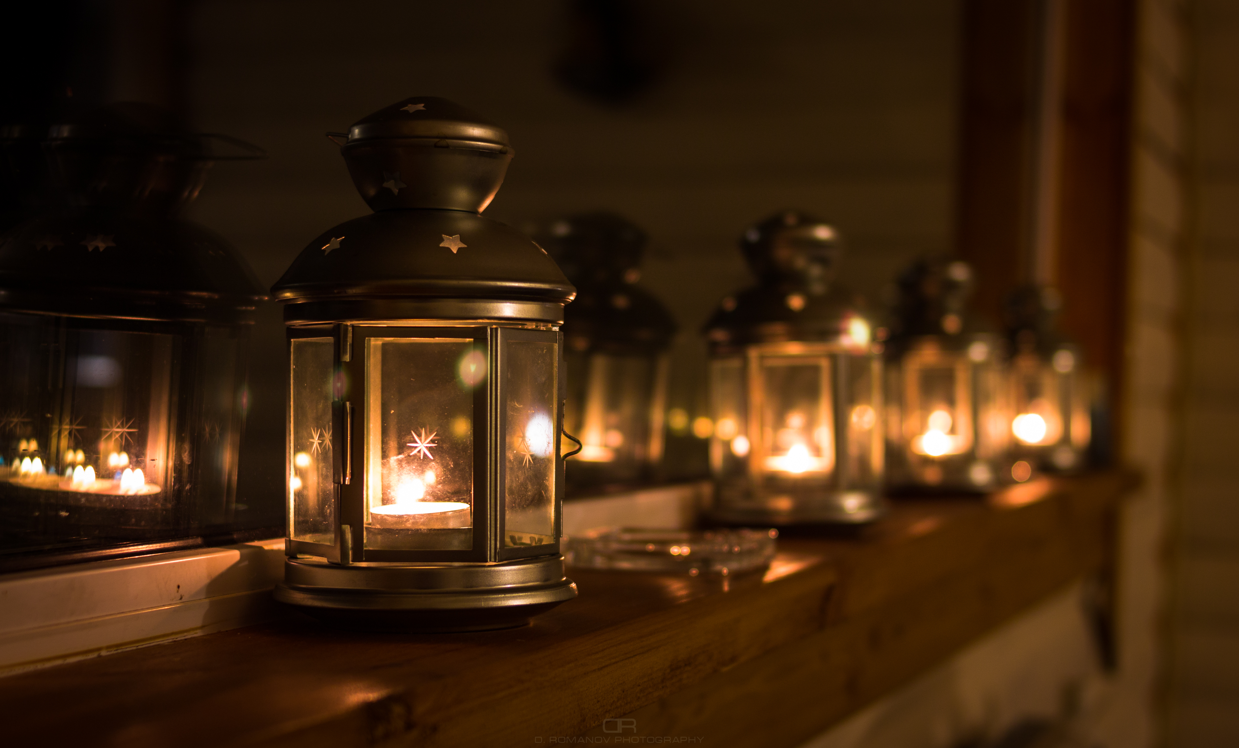 Фото Черная лиса