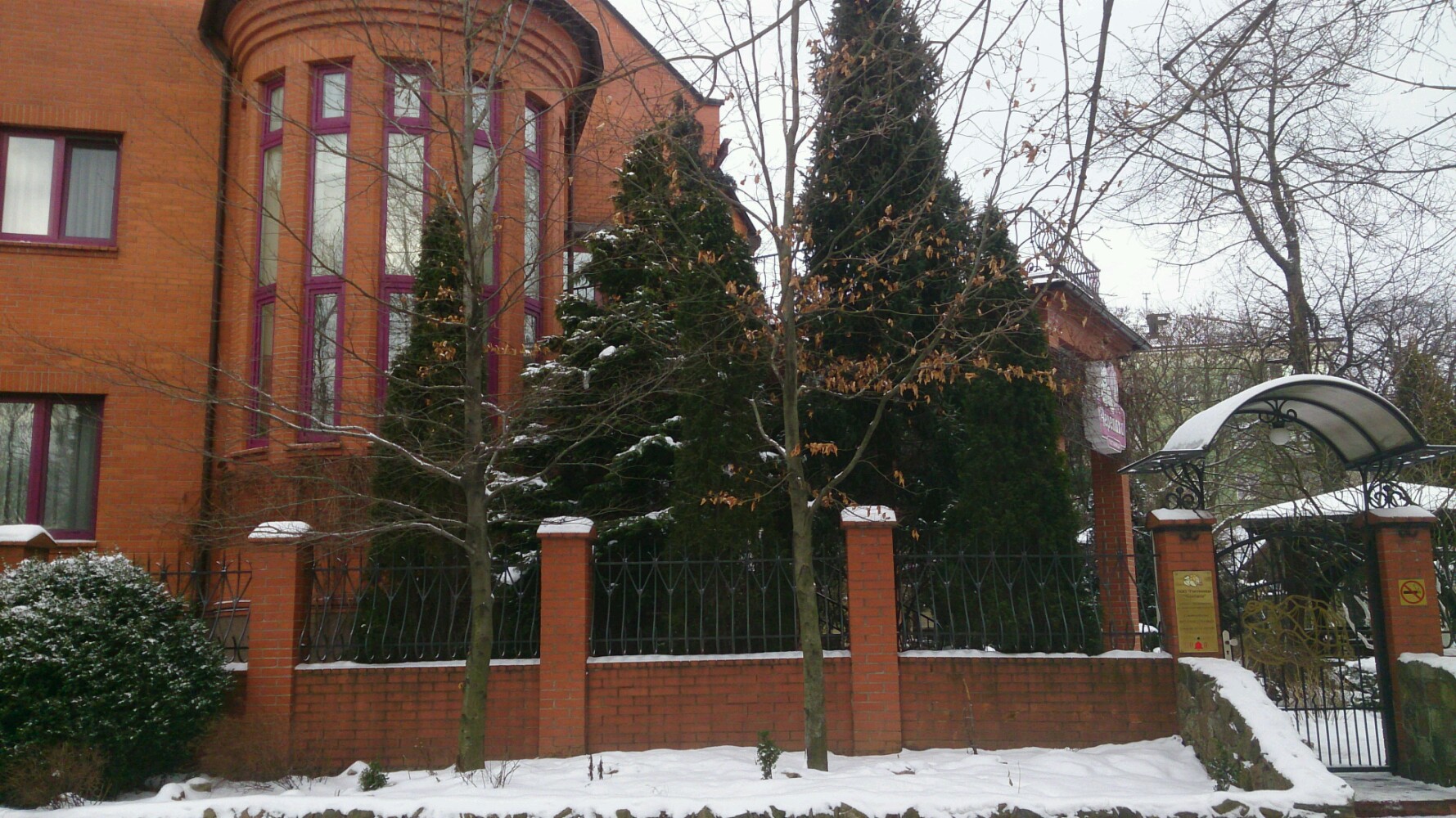 Фото Черепаха